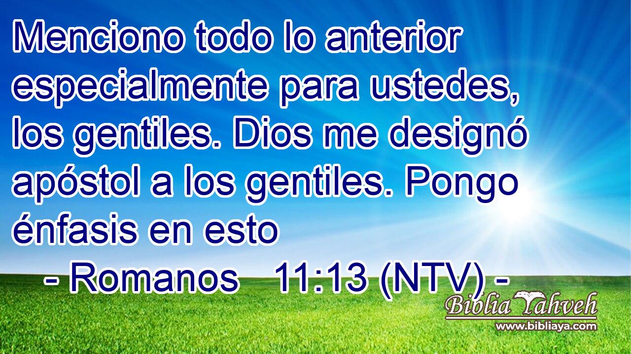 Menciono todo lo anterior especialmente para ustedes, los gentiles. Dios me designó apóstol a los gentiles. Pongo énfasis en esto