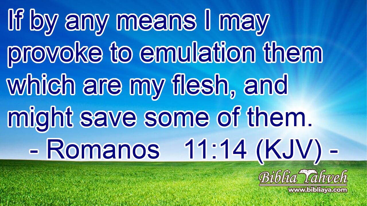 If by any means I may provoke to emulation them which are my flesh, and might save some of them.