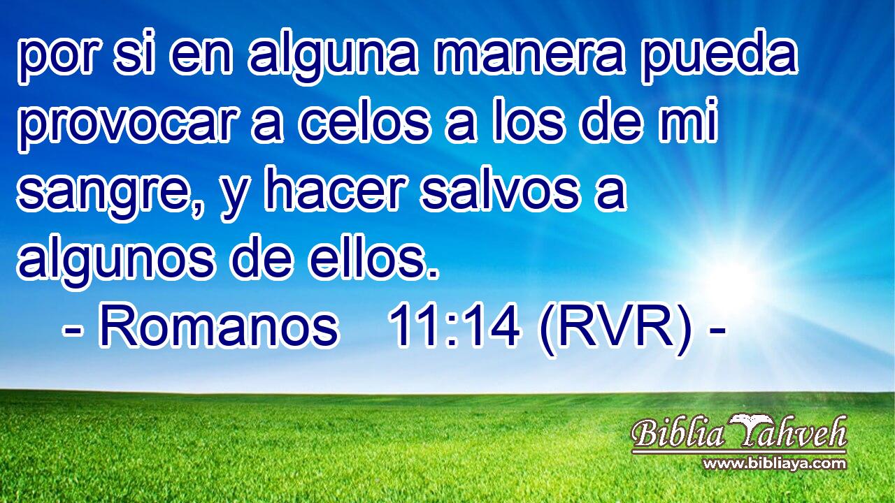 por si en alguna manera pueda provocar a celos a los de mi sangre, y hacer salvos a algunos de ellos.