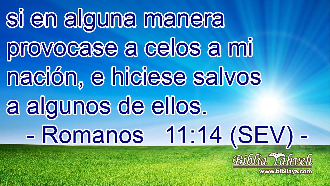si en alguna manera provocase a celos a mi nación, e hiciese salvos a algunos de ellos.