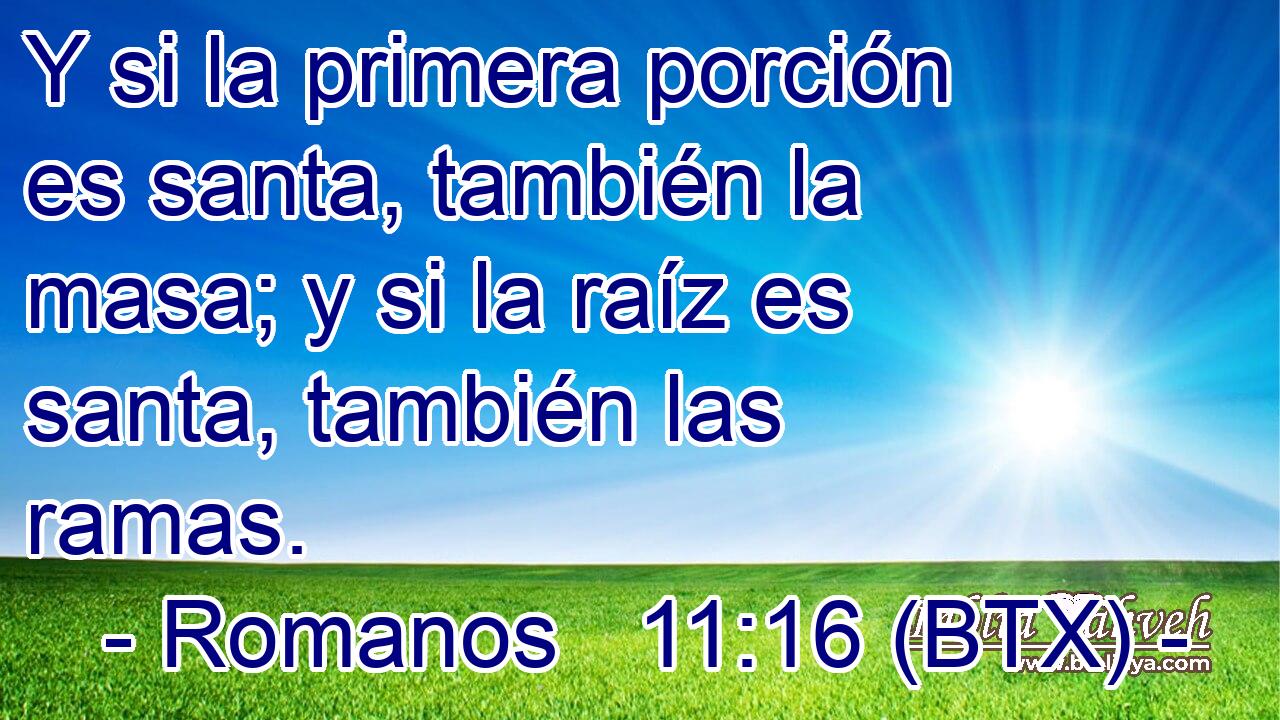 Y si la primera porción es santa, también la masa; y si la raíz es santa, también las ramas.