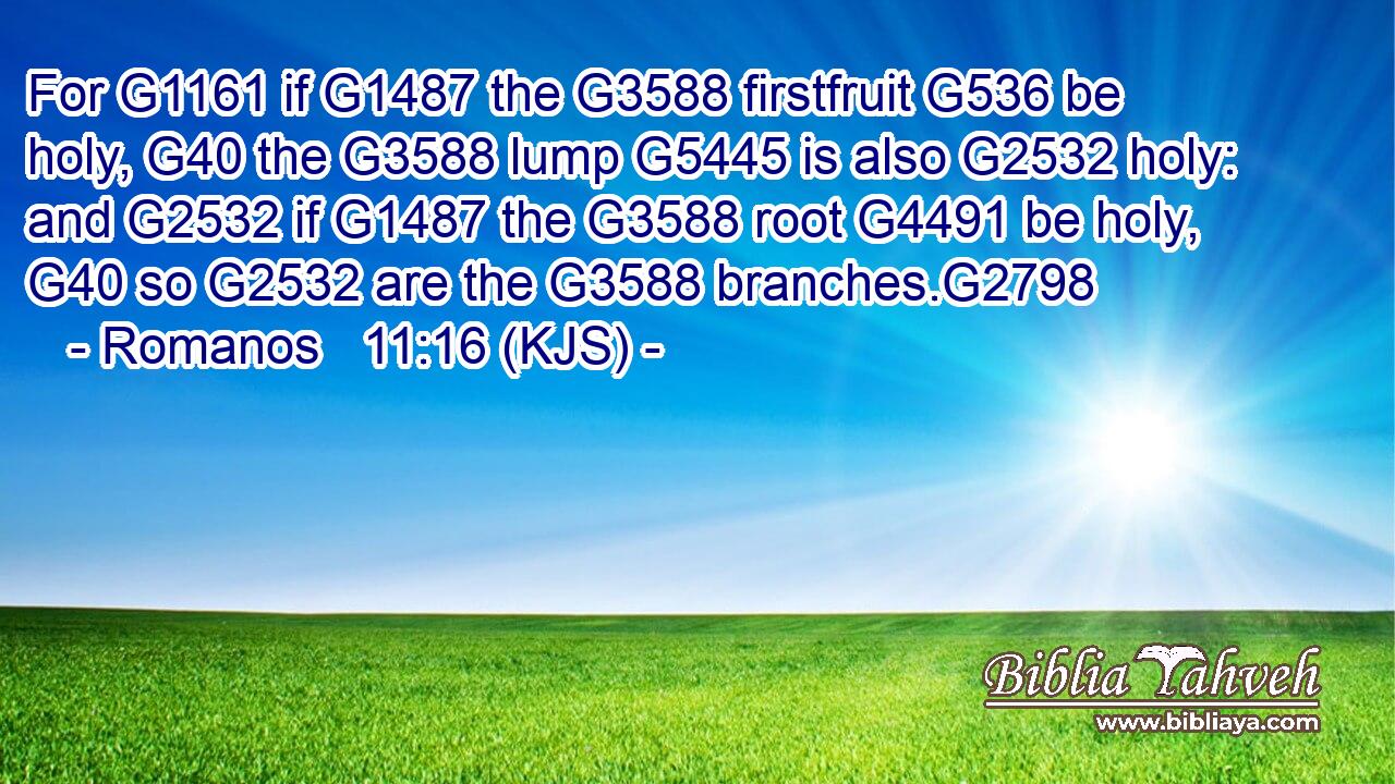 For G1161 if G1487 the G3588 firstfruit G536 be holy, G40 the G3588 lump G5445 is also G2532 holy: and G2532 if G1487 the G3588 root G4491 be holy, G40 so G2532 are the G3588 branches.G2798