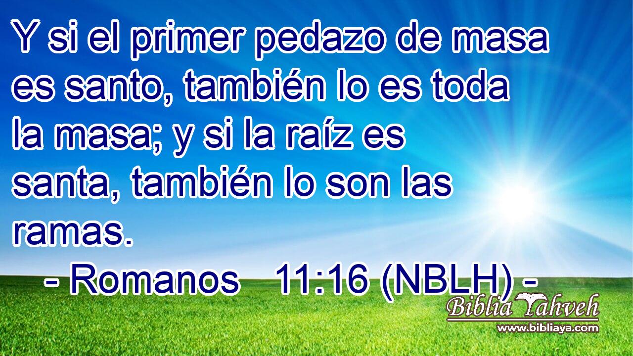  Y si el primer pedazo de masa es santo, también lo es toda la masa; y si la raíz es santa, también lo son las ramas. 