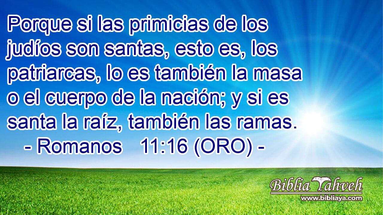  Porque si las primicias de los judíos son santas, esto es, los patriarcas, lo es también la masa o el cuerpo de la nación; y si es santa la raíz, también las ramas. 