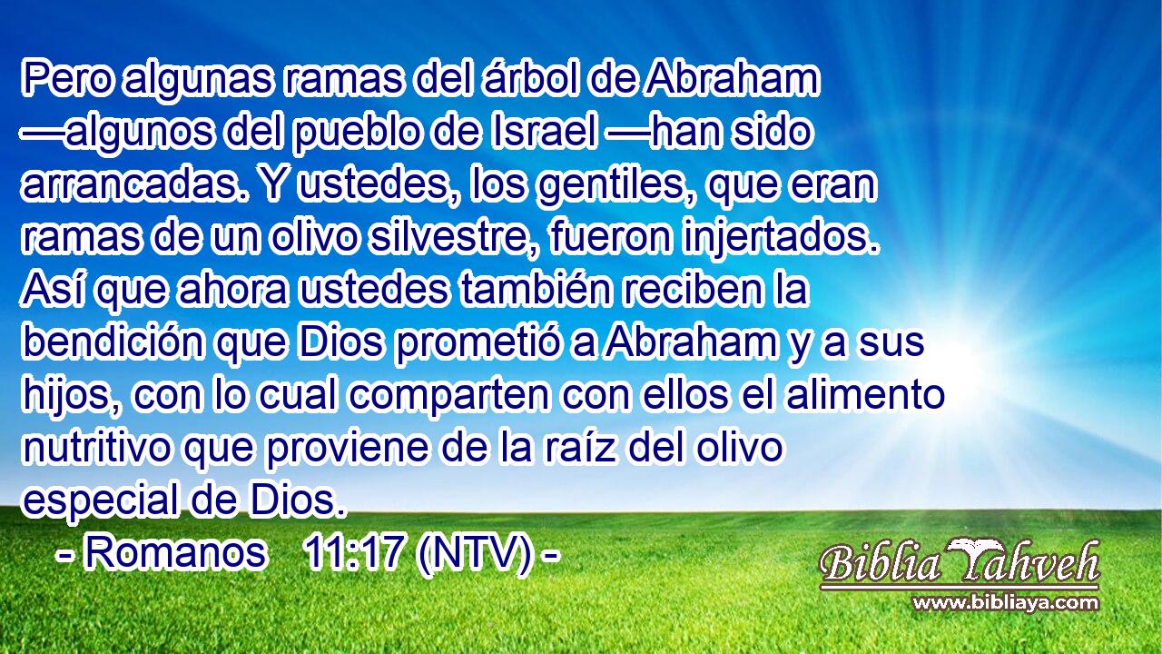 Pero algunas ramas del árbol de Abraham —algunos del pueblo de Israel —han sido arrancadas. Y ustedes, los gentiles, que eran ramas de un olivo silvestre, fueron injertados. Así que ahora ustedes también reciben la bendición que Dios prometió a Abraham y a sus hijos, con lo cual comparten con ellos el alimento nutritivo que proviene de la raíz del olivo especial de Dios.