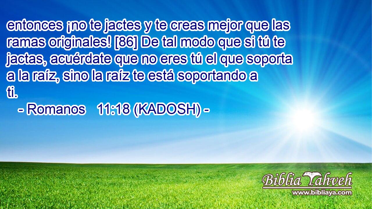  entonces ¡no te jactes y te creas mejor que las ramas originales! [86] De tal modo que si tú te jactas, acuérdate que no eres tú el que soporta a la raíz, sino la raíz te está soportando a ti. 
