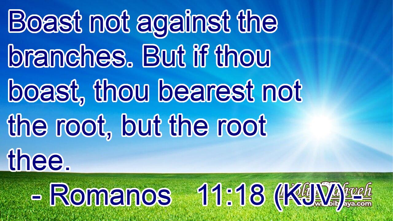 Boast not against the branches. But if thou boast, thou bearest not the root, but the root thee.