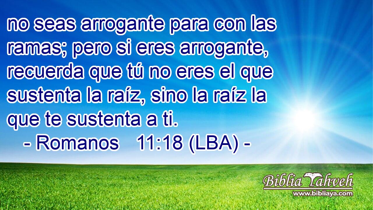 no seas arrogante para con las ramas; pero si eres arrogante, recuerda que tú no eres el que sustenta la raíz, sino la raíz la que te sustenta a ti.