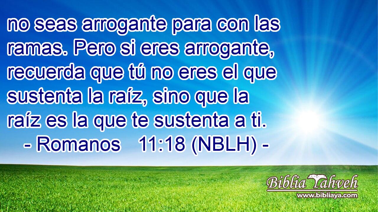  no seas arrogante para con las ramas. Pero si eres arrogante, recuerda que tú no eres el que sustenta la raíz, sino que la raíz es la que te sustenta a ti. 