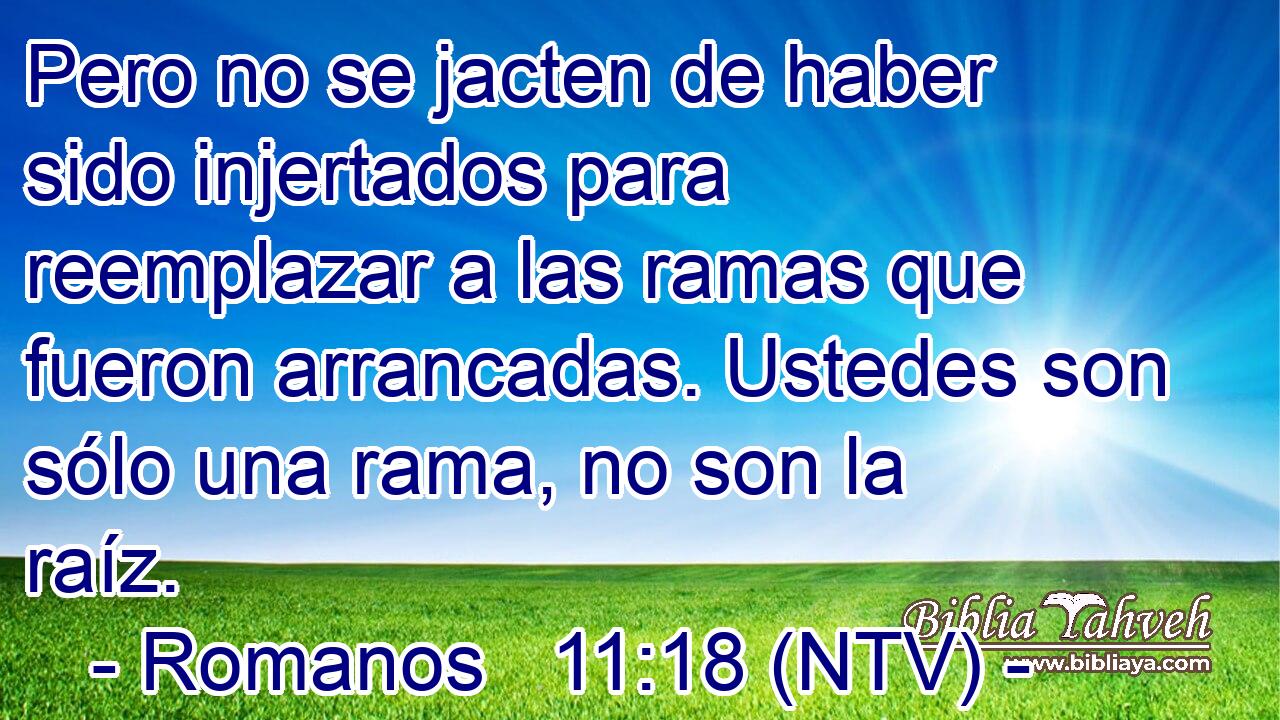 Pero no se jacten de haber sido injertados para reemplazar a las ramas que fueron arrancadas. Ustedes son sólo una rama, no son la raíz.