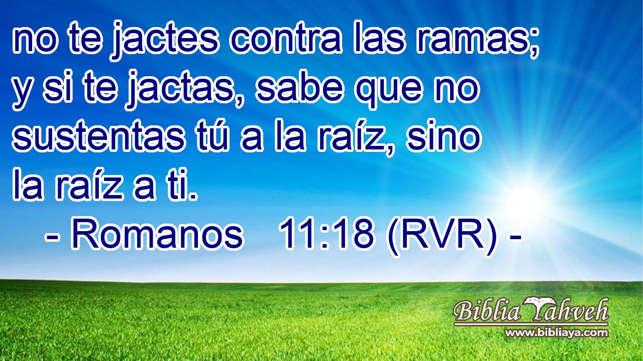 no te jactes contra las ramas; y si te jactas, sabe que no sustentas tú a la raíz, sino la raíz a ti.