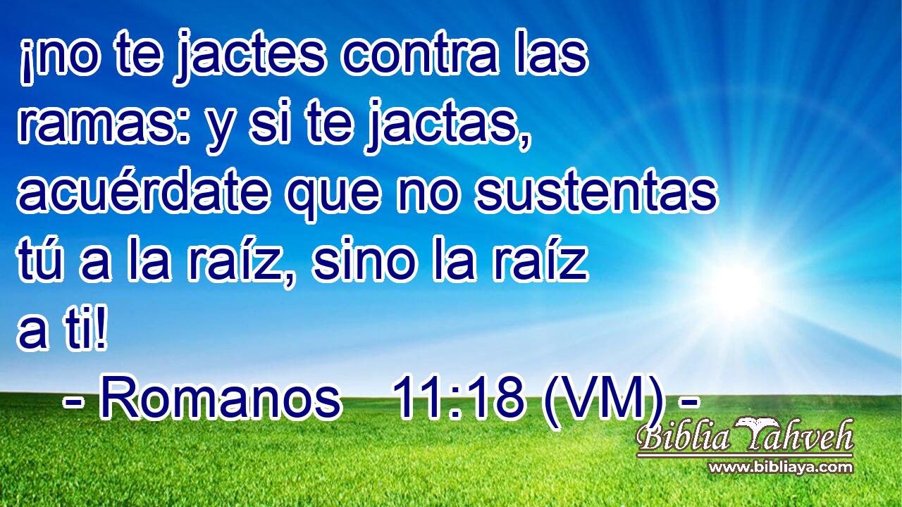  ¡no te jactes contra las ramas: y si te jactas, acuérdate que no sustentas tú a la raíz, sino la raíz a ti! 