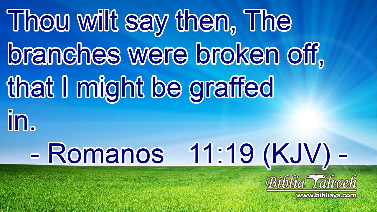 Thou wilt say then, The branches were broken off, that I might be graffed in.