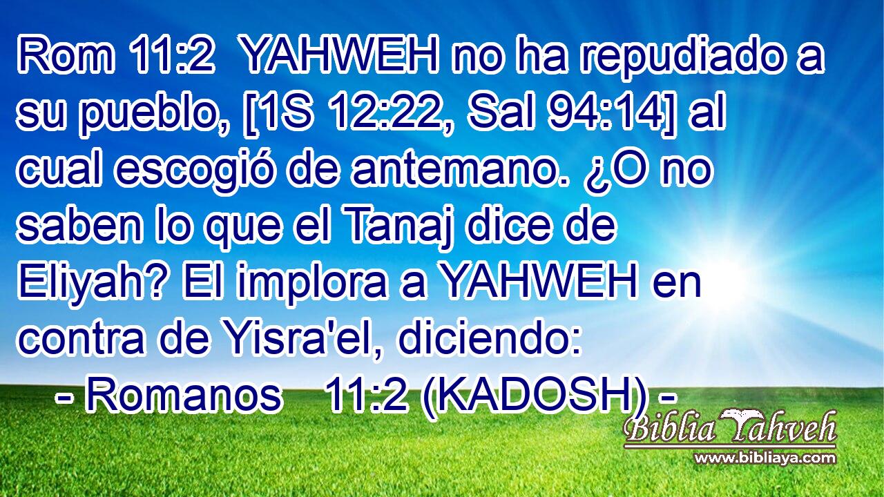  YAHWEH no ha repudiado a su pueblo, [1S 12:22, Sal 94:14] al cual escogió de antemano. ¿O no saben lo que el Tanaj dice de Eliyah? El implora a YAHWEH en contra de Yisra'el, diciendo: 