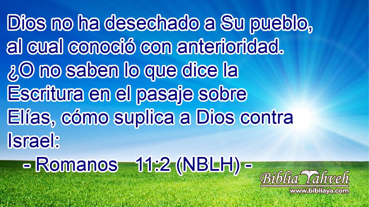  Dios no ha desechado a Su pueblo, al cual conoció con anterioridad. ¿O no saben lo que dice la Escritura en el pasaje sobre Elías, cómo suplica a Dios contra Israel: 