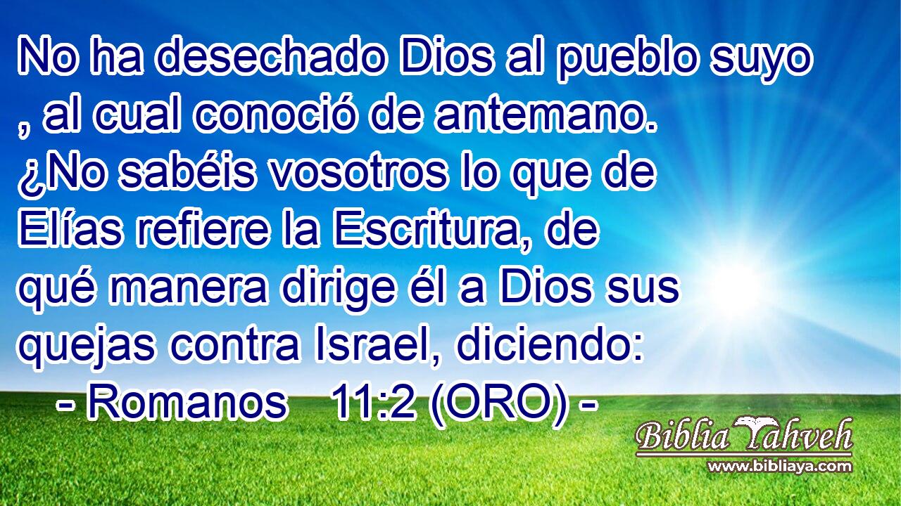  No ha desechado Dios al pueblo suyo , al cual conoció de antemano. ¿No sabéis vosotros lo que de Elías refiere la Escritura, de qué manera dirige él a Dios sus quejas contra Israel, diciendo: 