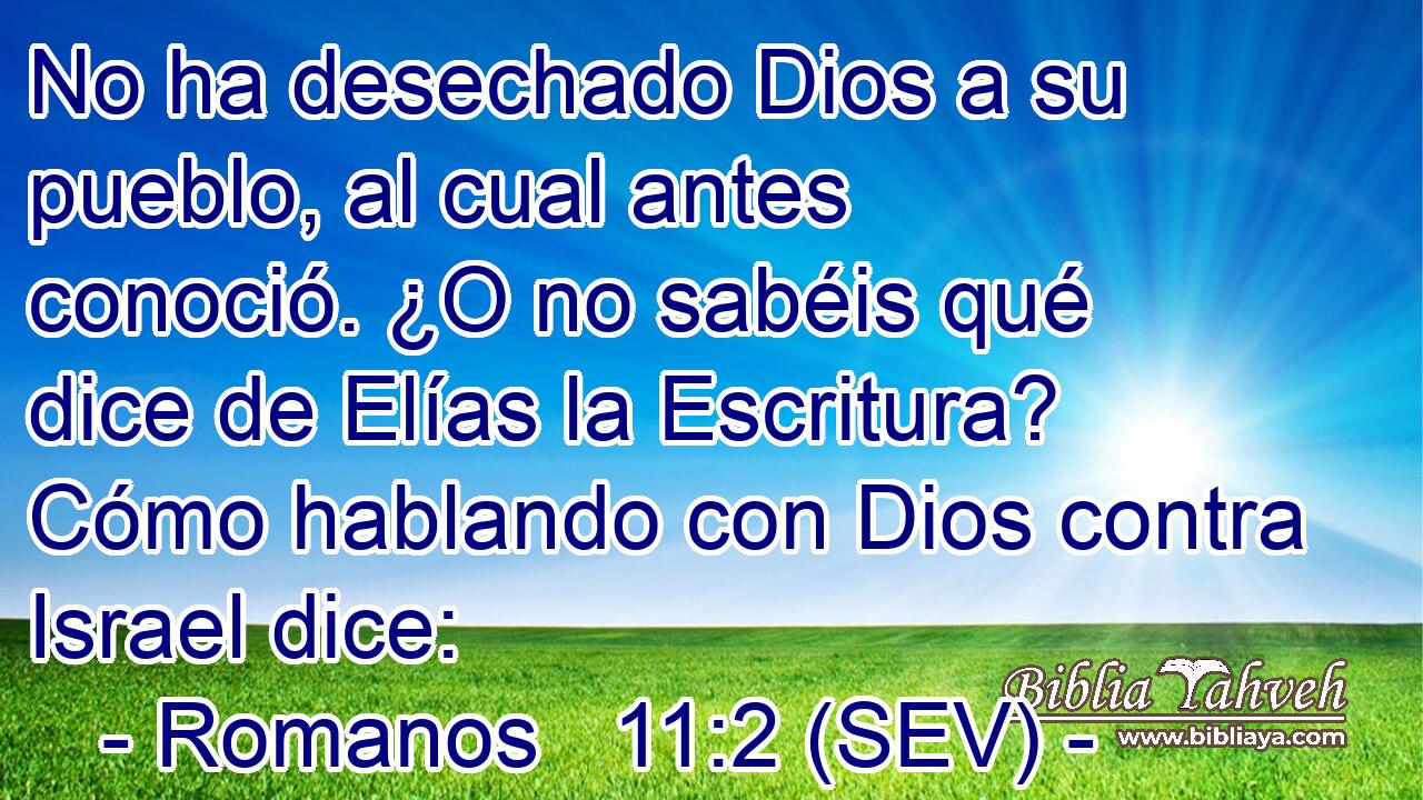 No ha desechado Dios a su pueblo, al cual antes conoció. ¿O no sabéis qué dice de Elías la Escritura? Cómo hablando con Dios contra Israel dice:
