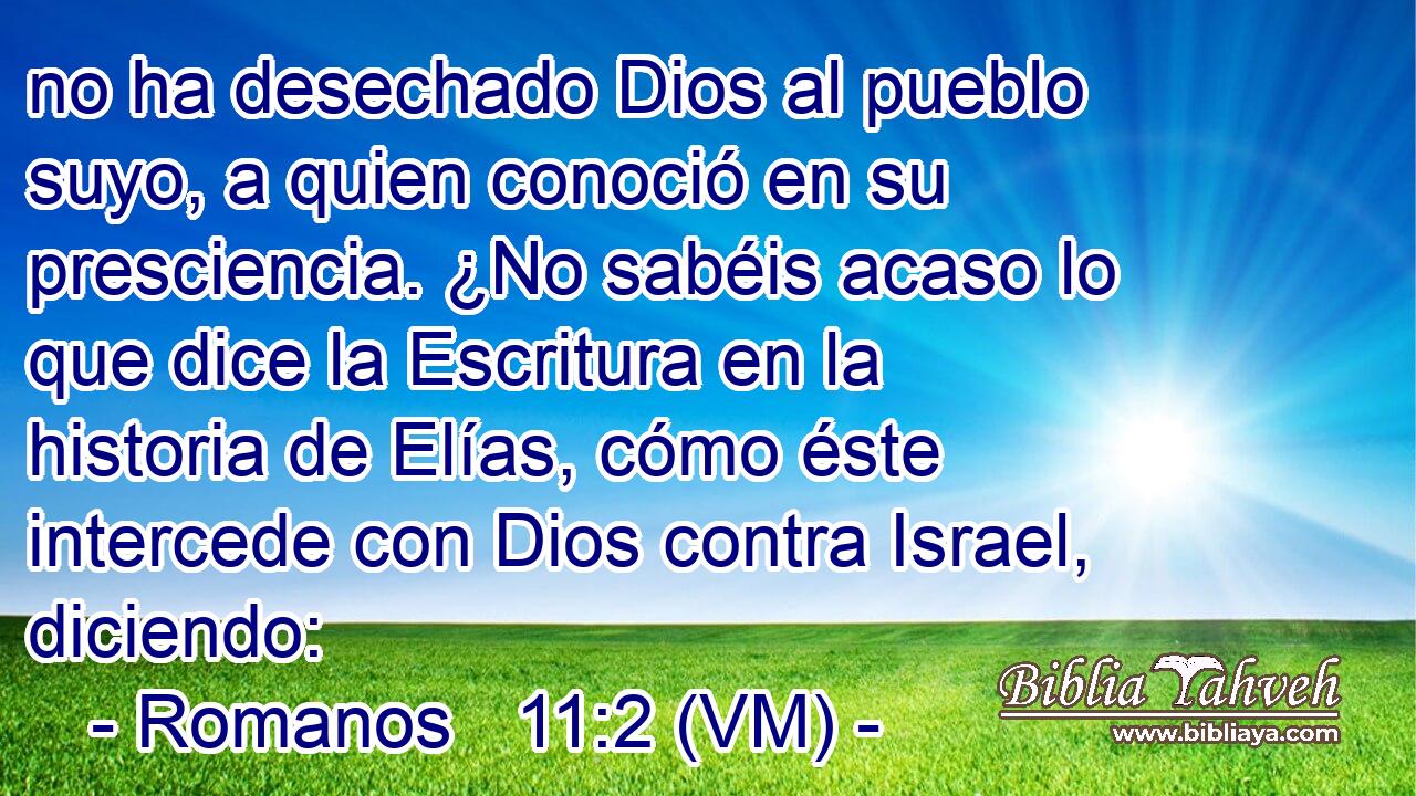  no ha desechado Dios al pueblo suyo, a quien conoció en su presciencia. ¿No sabéis acaso lo que dice la Escritura en la historia de Elías, cómo éste intercede con Dios contra Israel, diciendo: 
