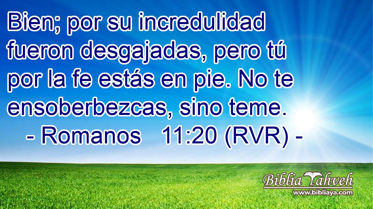 Bien; por su incredulidad fueron desgajadas, pero tú por la fe estás en pie. No te ensoberbezcas, sino teme.