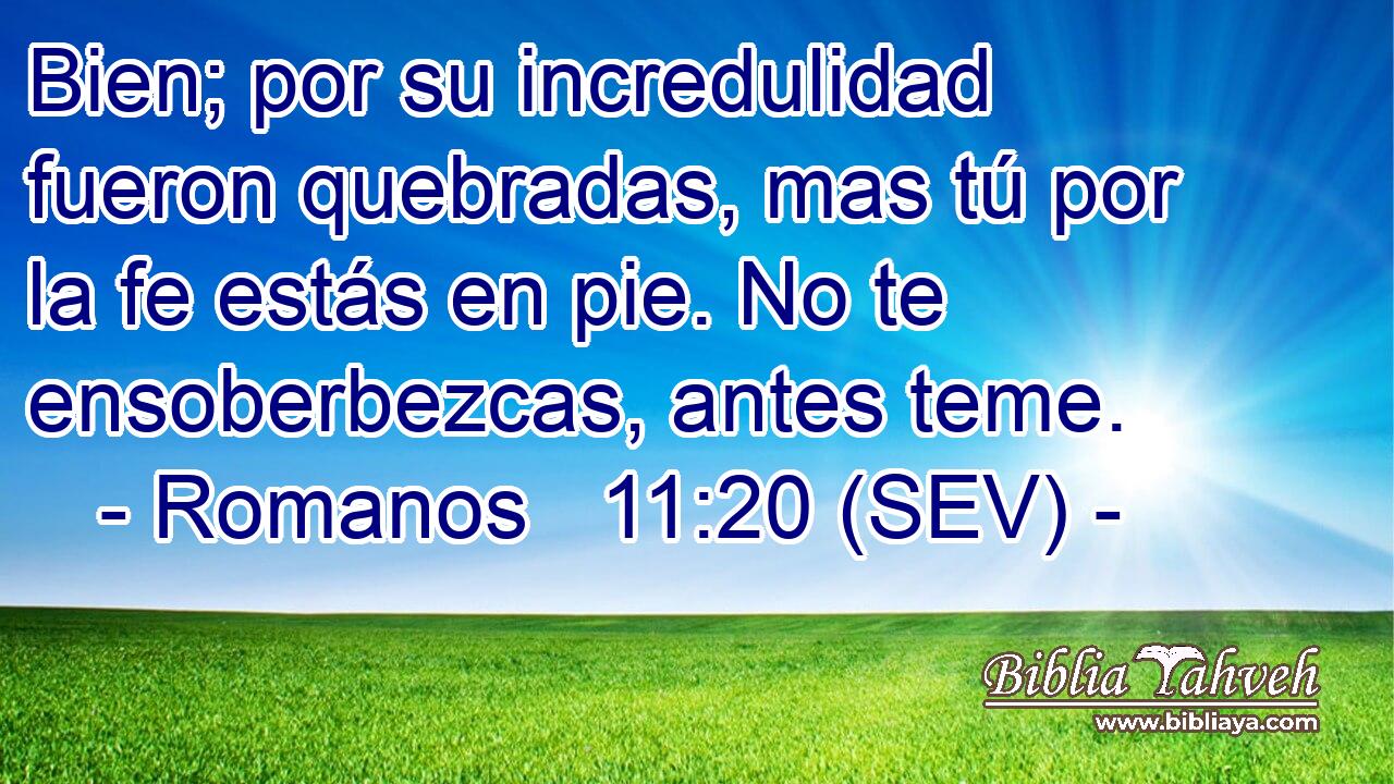 Bien; por su incredulidad fueron quebradas, mas tú por la fe estás en pie. No te ensoberbezcas, antes teme.