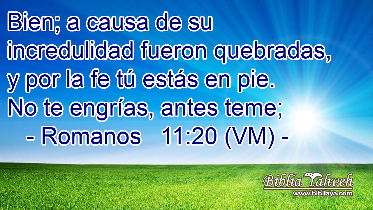  Bien; a causa de su incredulidad fueron quebradas, y por la fe tú estás en pie. No te engrías, antes teme; 