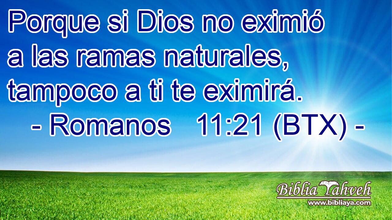 Porque si Dios no eximió a las ramas naturales, tampoco a ti te eximirá.