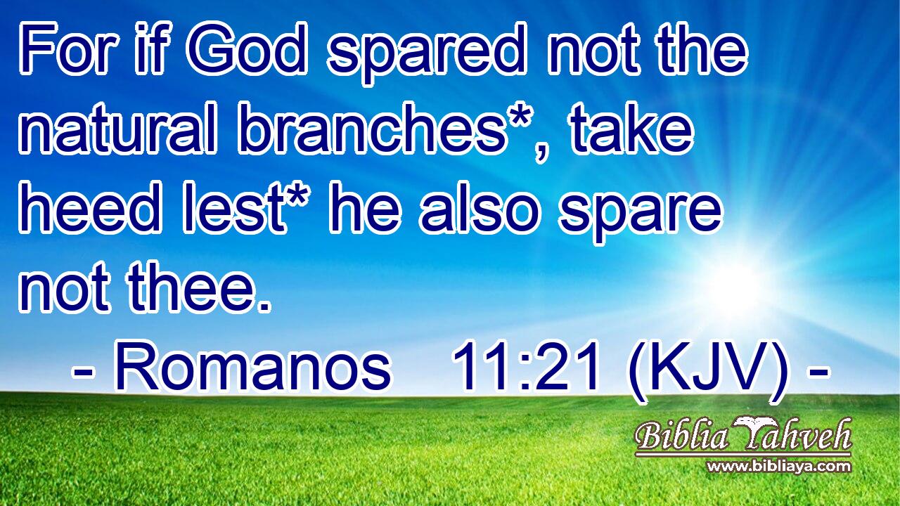 For if God spared not the natural branches*, take heed lest* he also spare not thee.