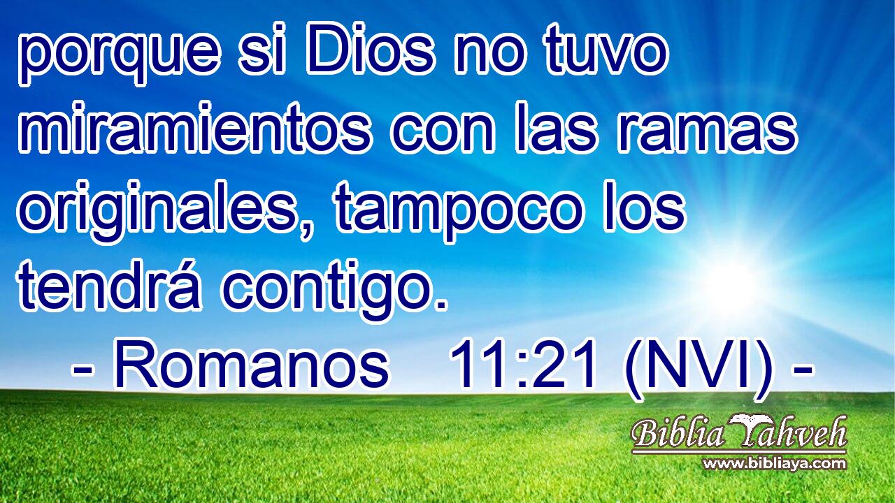  porque si Dios no tuvo miramientos con las ramas originales, tampoco los tendrá contigo. 