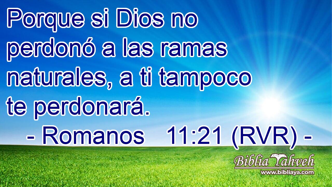 Porque si Dios no perdonó a las ramas naturales, a ti tampoco te perdonará.