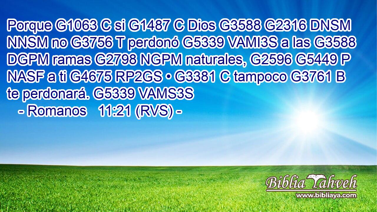 Porque G1063 C si G1487 C Dios G3588 G2316 DNSM NNSM no G3756 T perdonó G5339 VAMI3S a las G3588 DGPM ramas G2798 NGPM naturales, G2596 G5449 P NASF a ti G4675 RP2GS • G3381 C tampoco G3761 B te perdonará. G5339 VAMS3S 