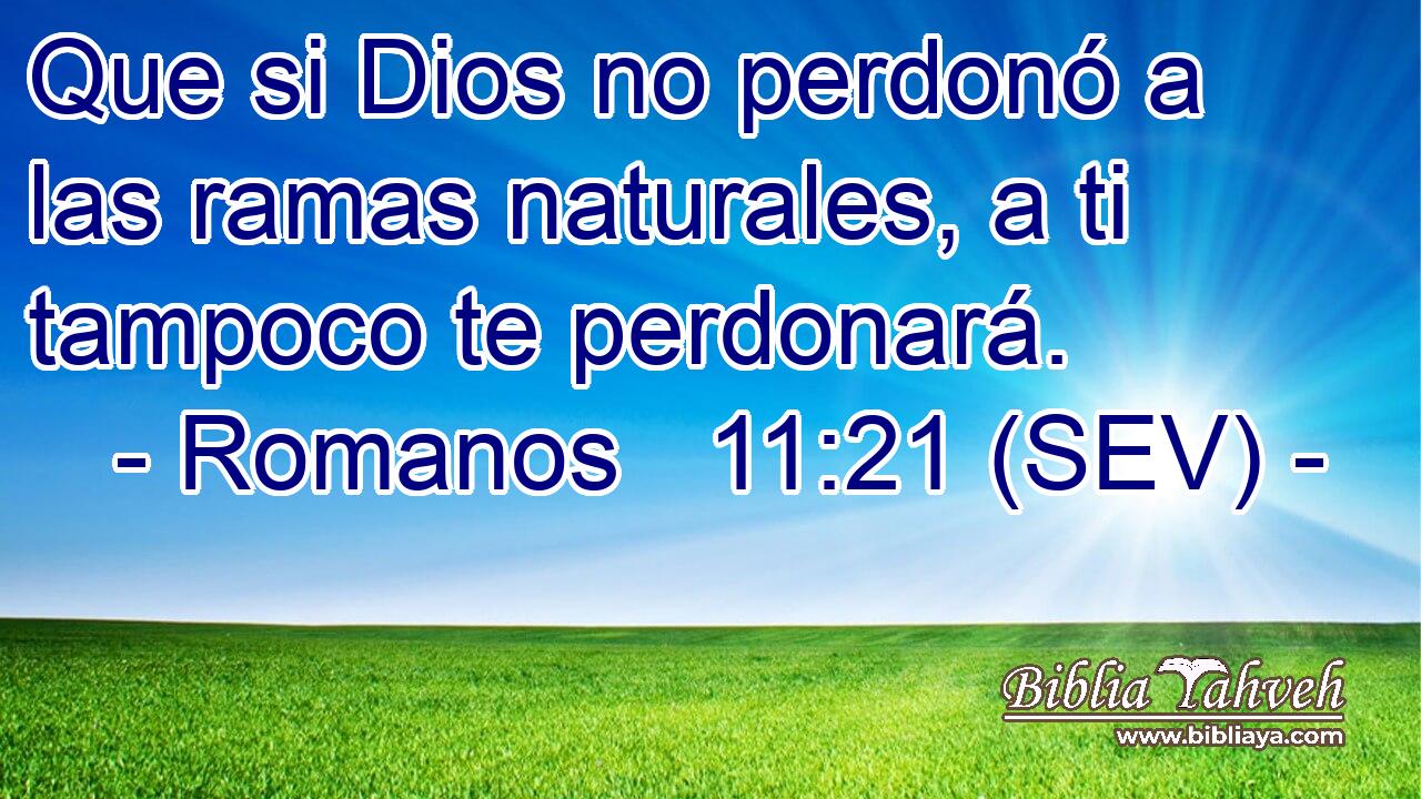 Que si Dios no perdonó a las ramas naturales, a ti tampoco te perdonará.