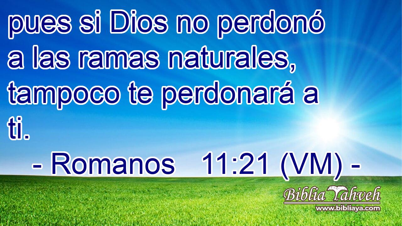  pues si Dios no perdonó a las ramas naturales, tampoco te perdonará a ti. 
