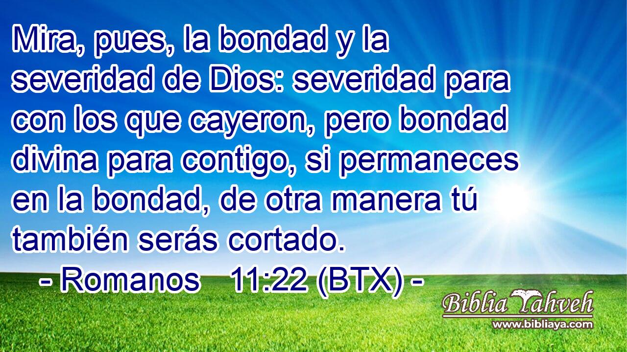 Mira, pues, la bondad y la severidad de Dios: severidad para con los que cayeron, pero bondad divina para contigo, si permaneces en la bondad, de otra manera tú también serás cortado.