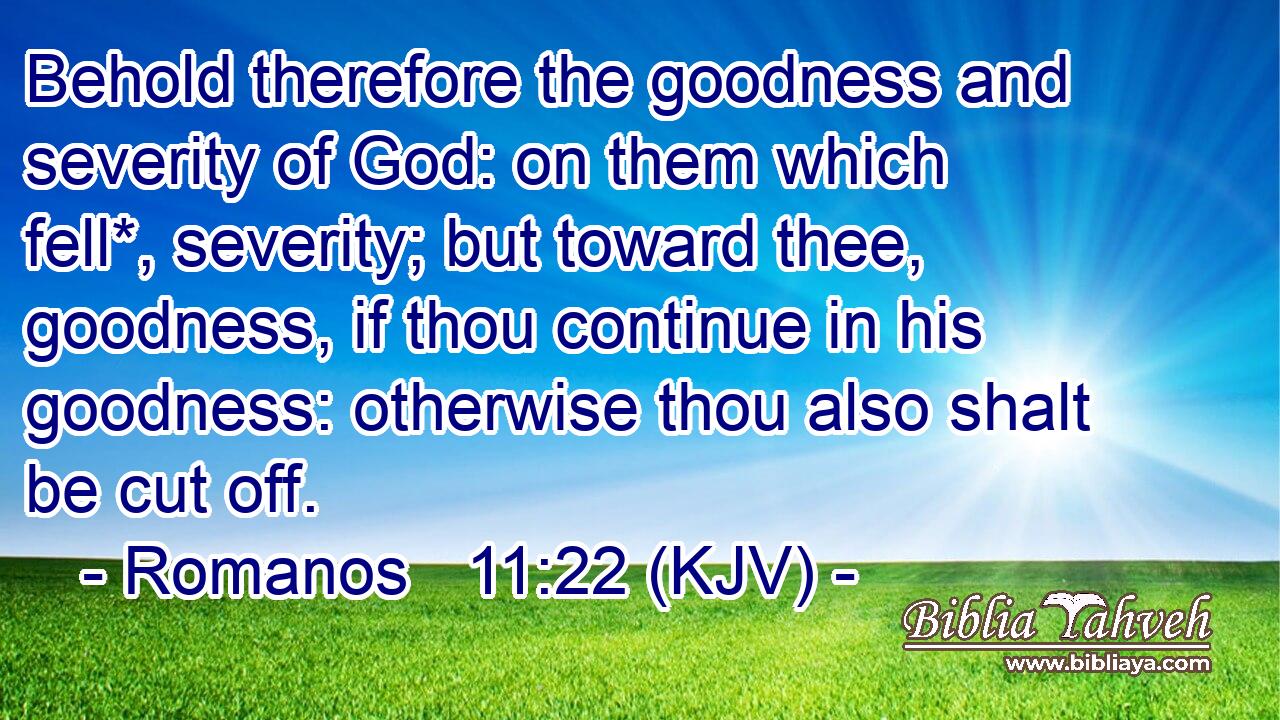 Behold therefore the goodness and severity of God: on them which fell*, severity; but toward thee, goodness, if thou continue in his goodness: otherwise thou also shalt be cut off.