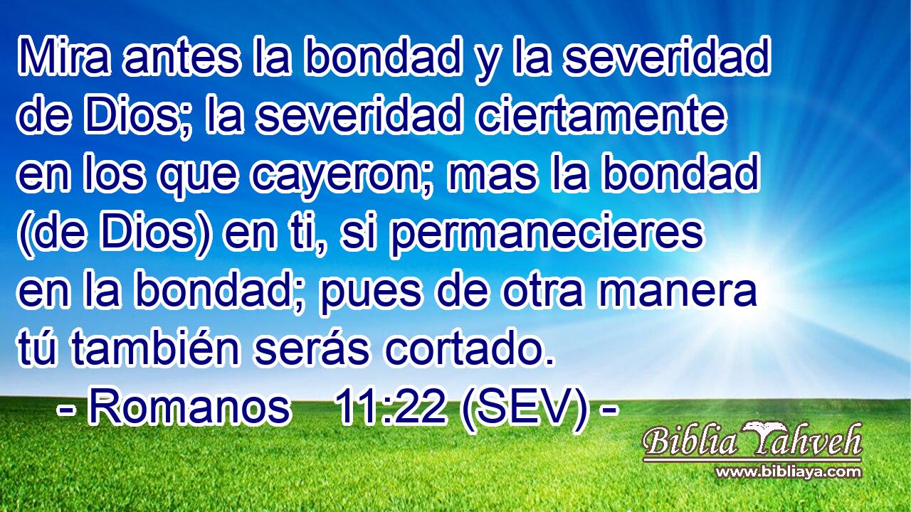 Mira antes la bondad y la severidad de Dios; la severidad ciertamente en los que cayeron; mas la bondad (de Dios) en ti, si permanecieres en la bondad; pues de otra manera tú también serás cortado.