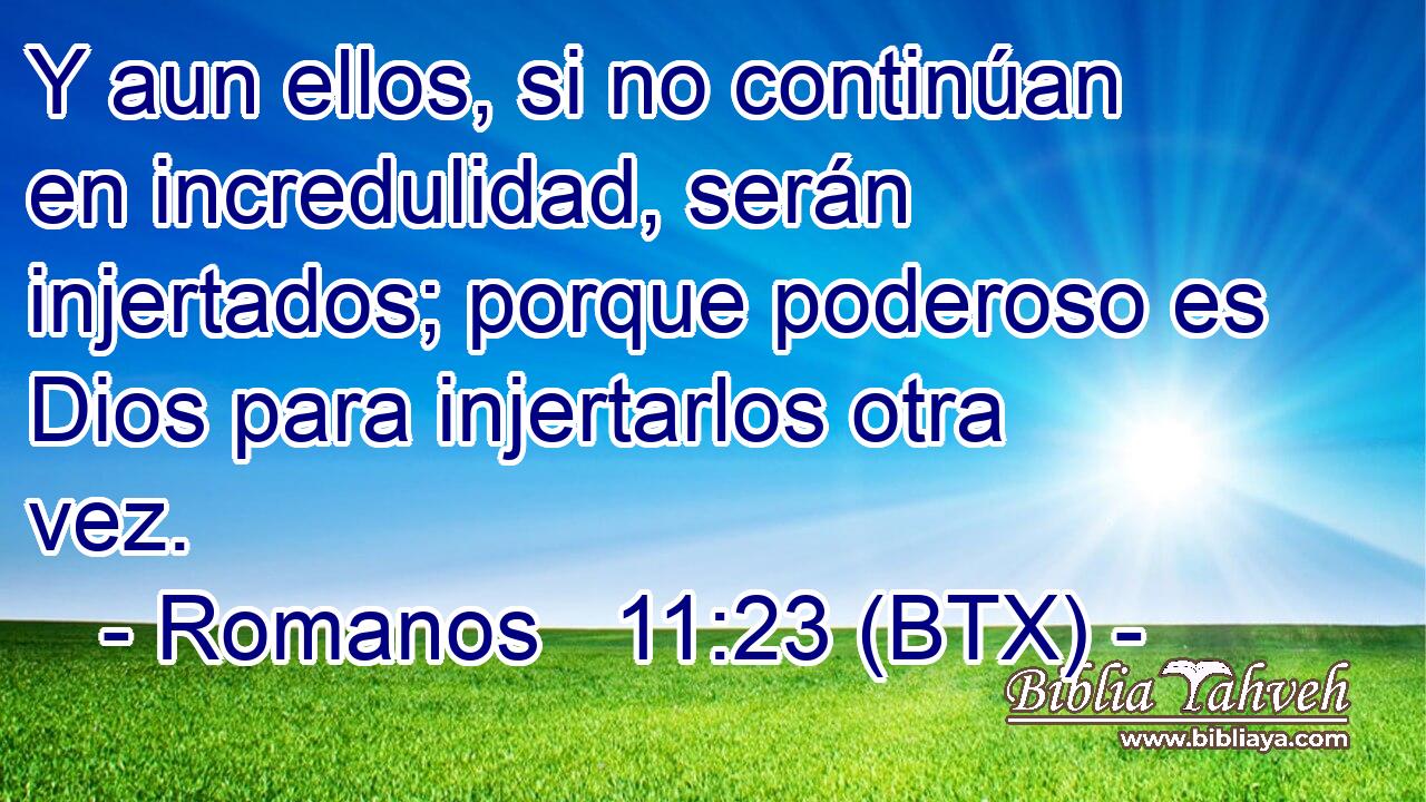 Y aun ellos, si no continúan en incredulidad, serán injertados; porque poderoso es Dios para injertarlos otra vez.