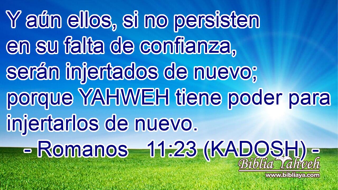  Y aún ellos, si no persisten en su falta de confianza, serán injertados de nuevo; porque YAHWEH tiene poder para injertarlos de nuevo. 