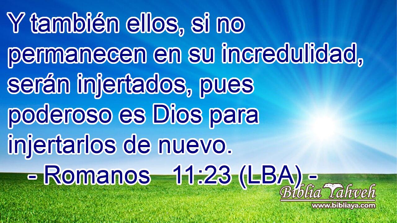 Y también ellos, si no permanecen en su incredulidad, serán injertados, pues poderoso es Dios para injertarlos de nuevo.