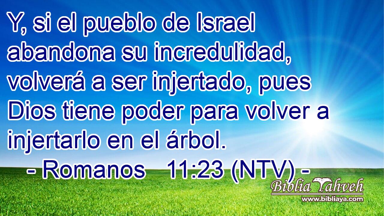 Y, si el pueblo de Israel abandona su incredulidad, volverá a ser injertado, pues Dios tiene poder para volver a injertarlo en el árbol.