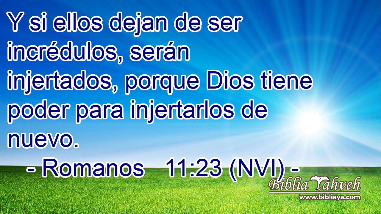  Y si ellos dejan de ser incrédulos, serán injertados, porque Dios tiene poder para injertarlos de nuevo. 