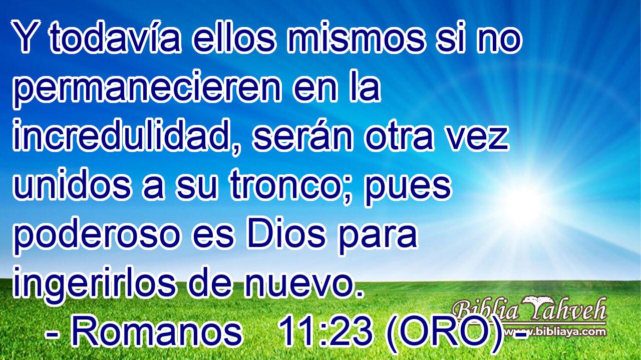  Y todavía ellos mismos si no permanecieren en la incredulidad, serán otra vez unidos a su tronco; pues poderoso es Dios para ingerirlos de nuevo. 