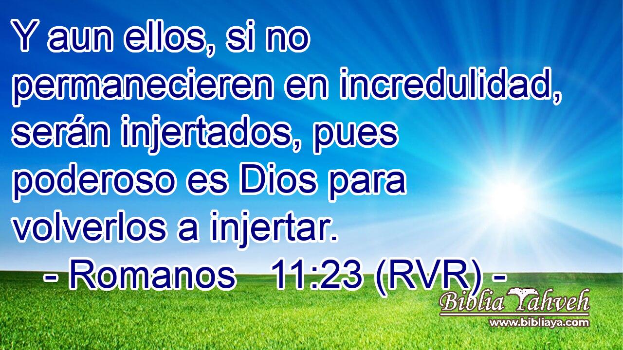 Y aun ellos, si no permanecieren en incredulidad, serán injertados, pues poderoso es Dios para volverlos a injertar.