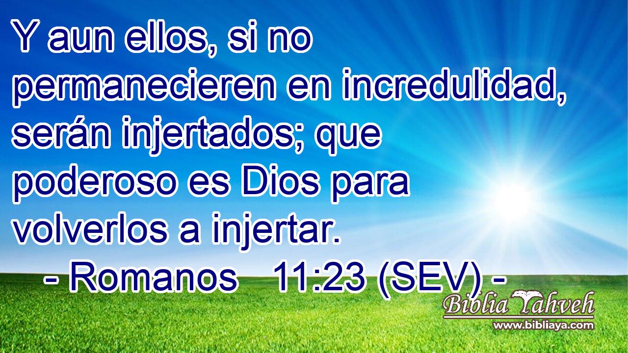 Y aun ellos, si no permanecieren en incredulidad, serán injertados; que poderoso es Dios para volverlos a injertar.