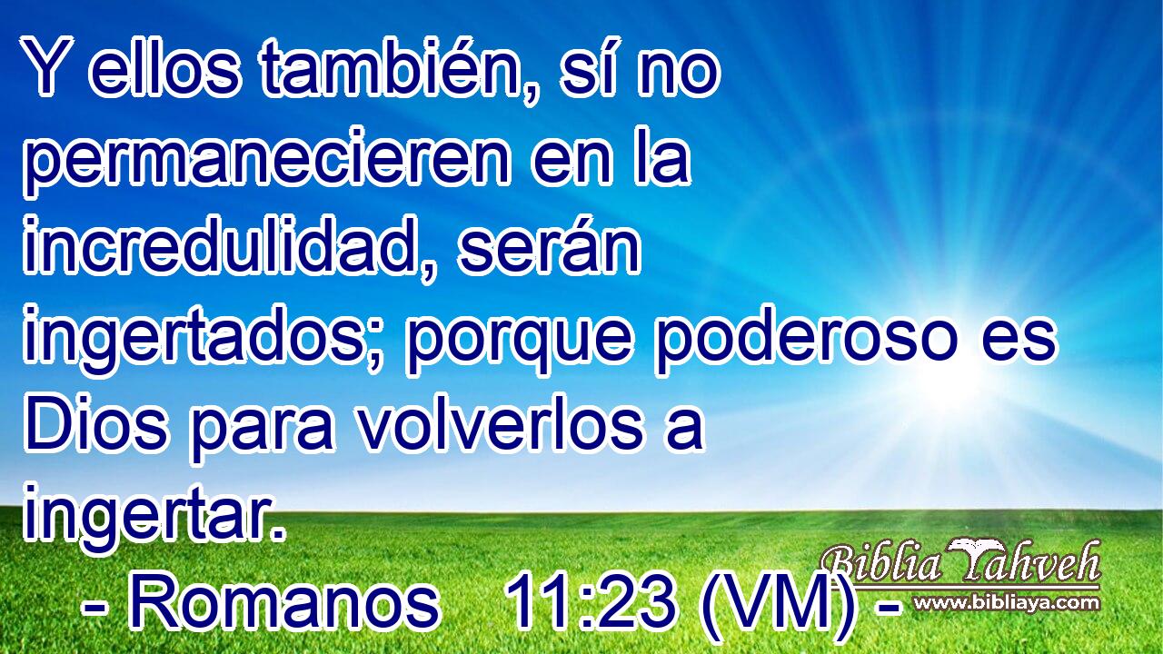  Y ellos también, sí no permanecieren en la incredulidad, serán ingertados; porque poderoso es Dios para volverlos a ingertar. 