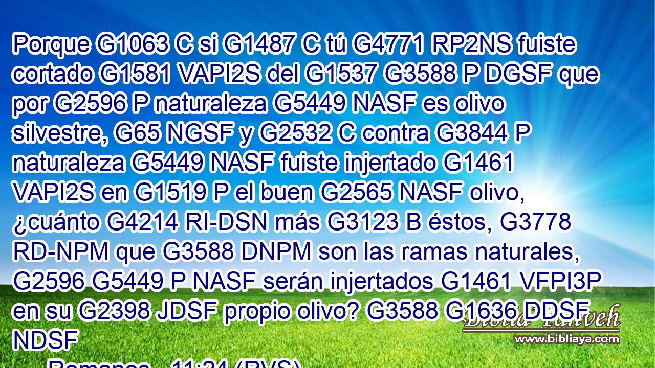 Porque G1063 C si G1487 C tú G4771 RP2NS fuiste cortado G1581 VAPI2S del G1537 G3588 P DGSF que por G2596 P naturaleza G5449 NASF es olivo silvestre, G65 NGSF y G2532 C contra G3844 P naturaleza G5449 NASF fuiste injertado G1461 VAPI2S en G1519 P el buen G2565 NASF olivo, ¿cuánto G4214 RI-DSN más G3123 B éstos, G3778 RD-NPM que G3588 DNPM son las ramas naturales, G2596 G5449 P NASF serán injertados G1461 VFPI3P en su G2398 JDSF propio olivo? G3588 G1636 DDSF NDSF