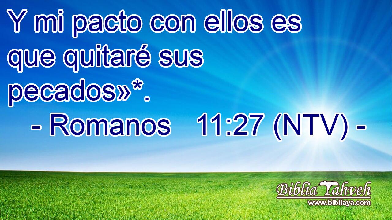 Y mi pacto con ellos es que quitaré sus pecados»*.