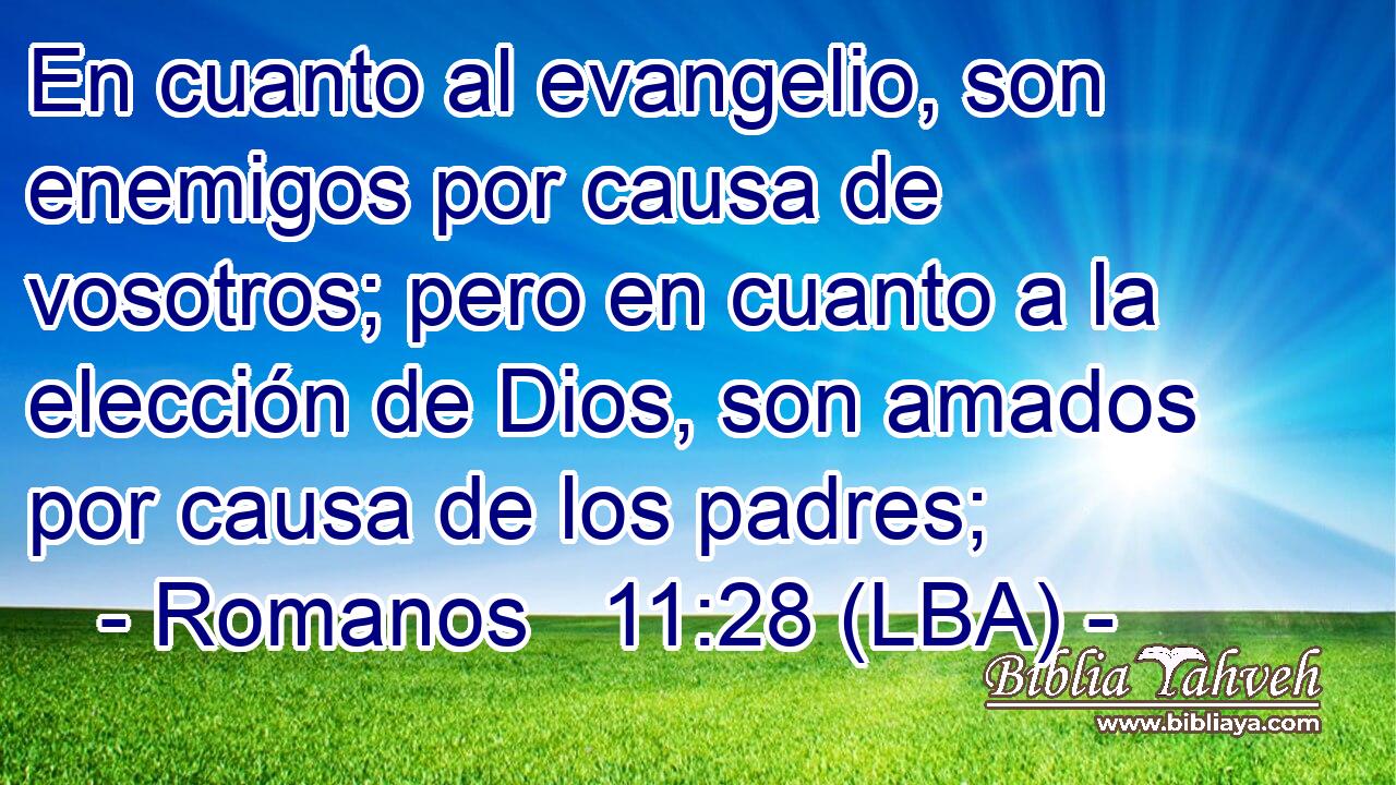 En cuanto al evangelio, son enemigos por causa de vosotros; pero en cuanto a la elección de Dios, son amados por causa de los padres;