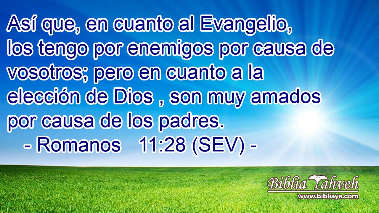 Así que, en cuanto al Evangelio, los tengo por enemigos por causa de vosotros; pero en cuanto a la elección de Dios , son muy amados por causa de los padres.