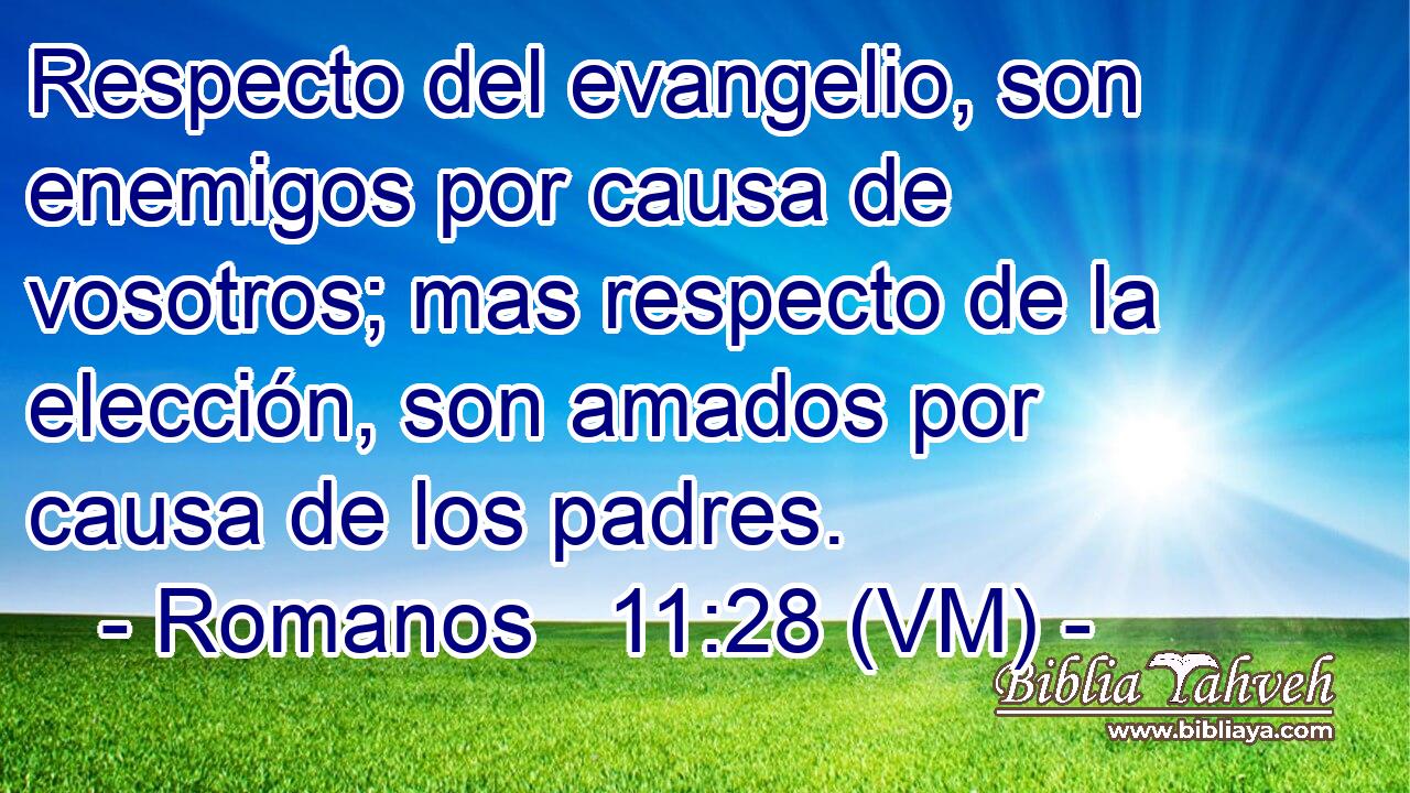  Respecto del evangelio, son enemigos por causa de vosotros; mas respecto de la elección, son amados por causa de los padres. 