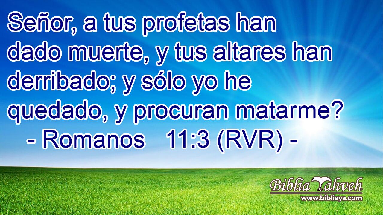 Señor, a tus profetas han dado muerte, y tus altares han derribado; y sólo yo he quedado, y procuran matarme?